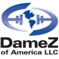 cropped-DamezLogo-1