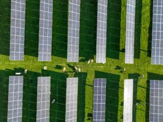 solar-panels-on-field-in-summer-aerial-drone-view-2024-04-15-18-28-32-utc