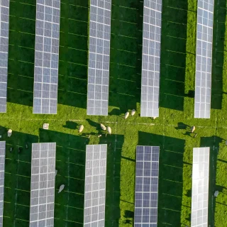 solar-panels-on-field-in-summer-aerial-drone-view-2024-04-15-18-28-32-utc